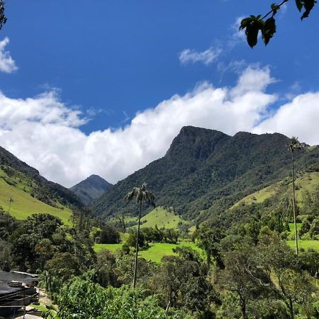 Cabanas Valle Del Cocora La Truchera Salento Dış mekan fotoğraf