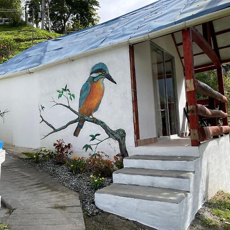 Cabanas Valle Del Cocora La Truchera Salento Dış mekan fotoğraf