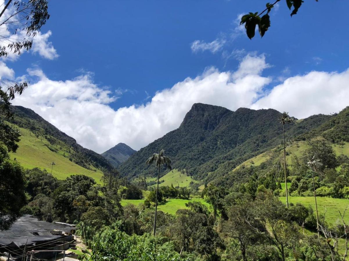 Cabanas Valle Del Cocora La Truchera Salento Dış mekan fotoğraf