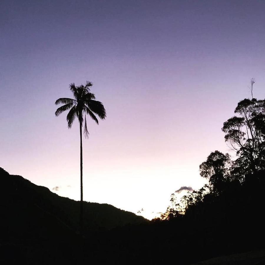 Cabanas Valle Del Cocora La Truchera Salento Dış mekan fotoğraf