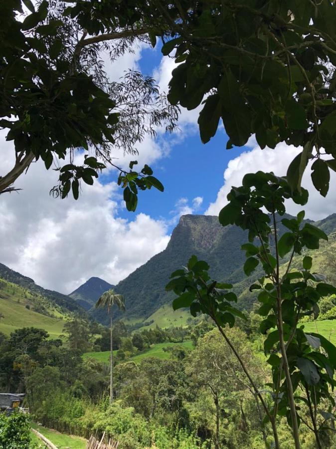 Cabanas Valle Del Cocora La Truchera Salento Dış mekan fotoğraf