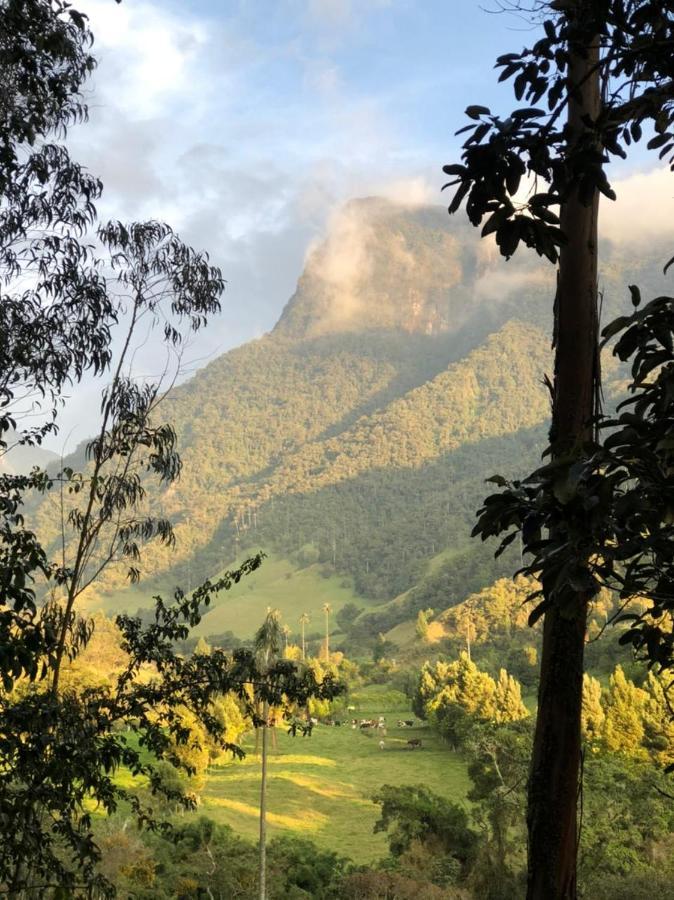 Cabanas Valle Del Cocora La Truchera Salento Dış mekan fotoğraf