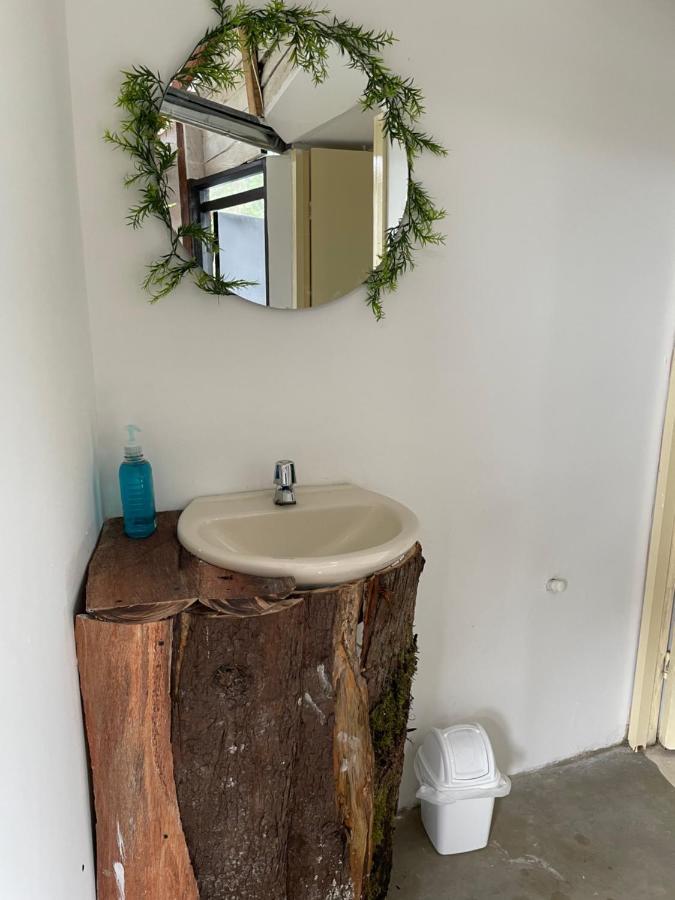 Cabanas Valle Del Cocora La Truchera Salento Dış mekan fotoğraf