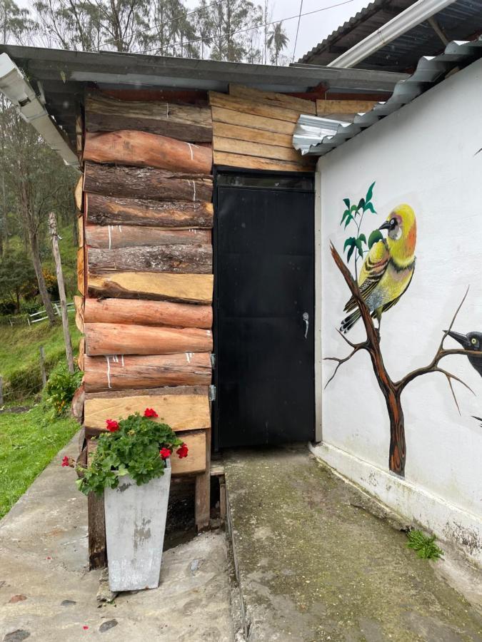 Cabanas Valle Del Cocora La Truchera Salento Dış mekan fotoğraf