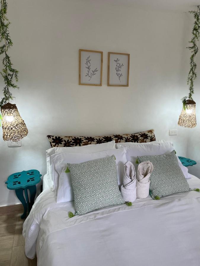 Cabanas Valle Del Cocora La Truchera Salento Dış mekan fotoğraf