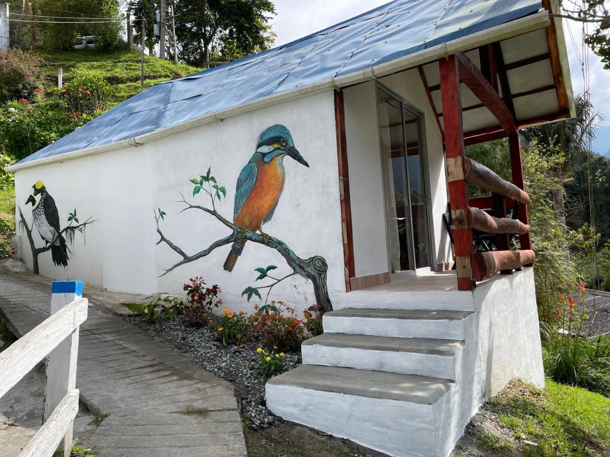 Cabanas Valle Del Cocora La Truchera Salento Dış mekan fotoğraf