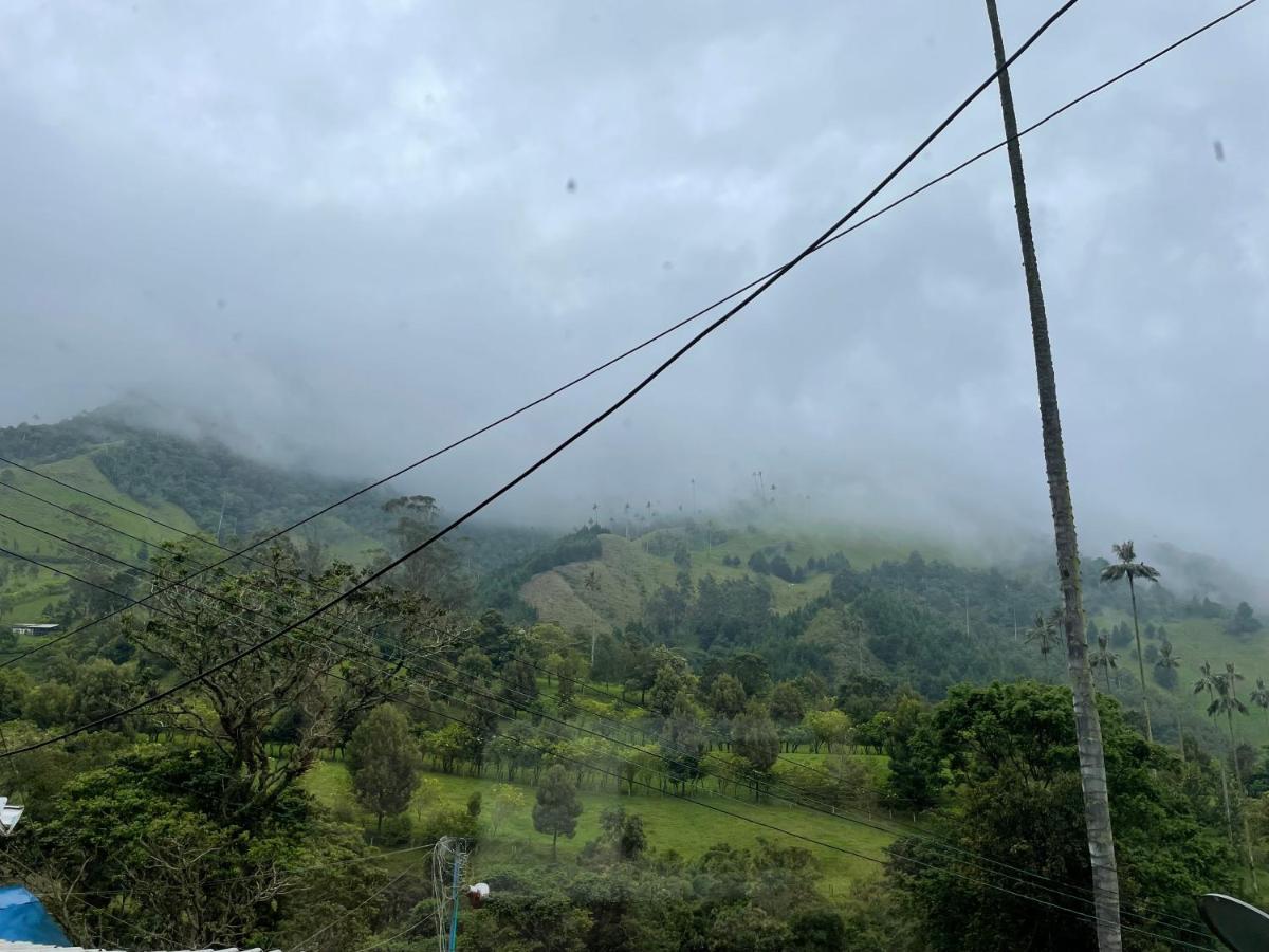 Cabanas Valle Del Cocora La Truchera Salento Dış mekan fotoğraf