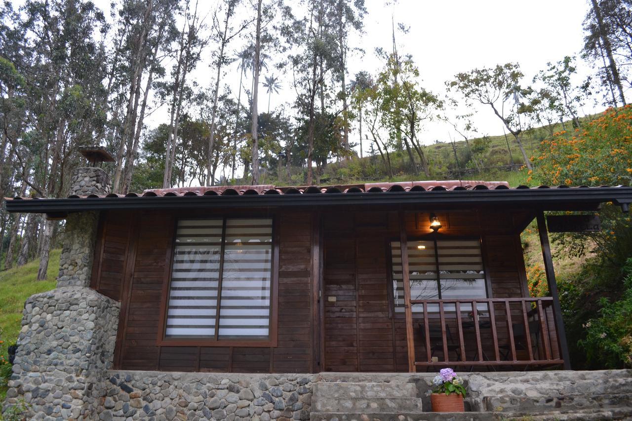 Cabanas Valle Del Cocora La Truchera Salento Dış mekan fotoğraf