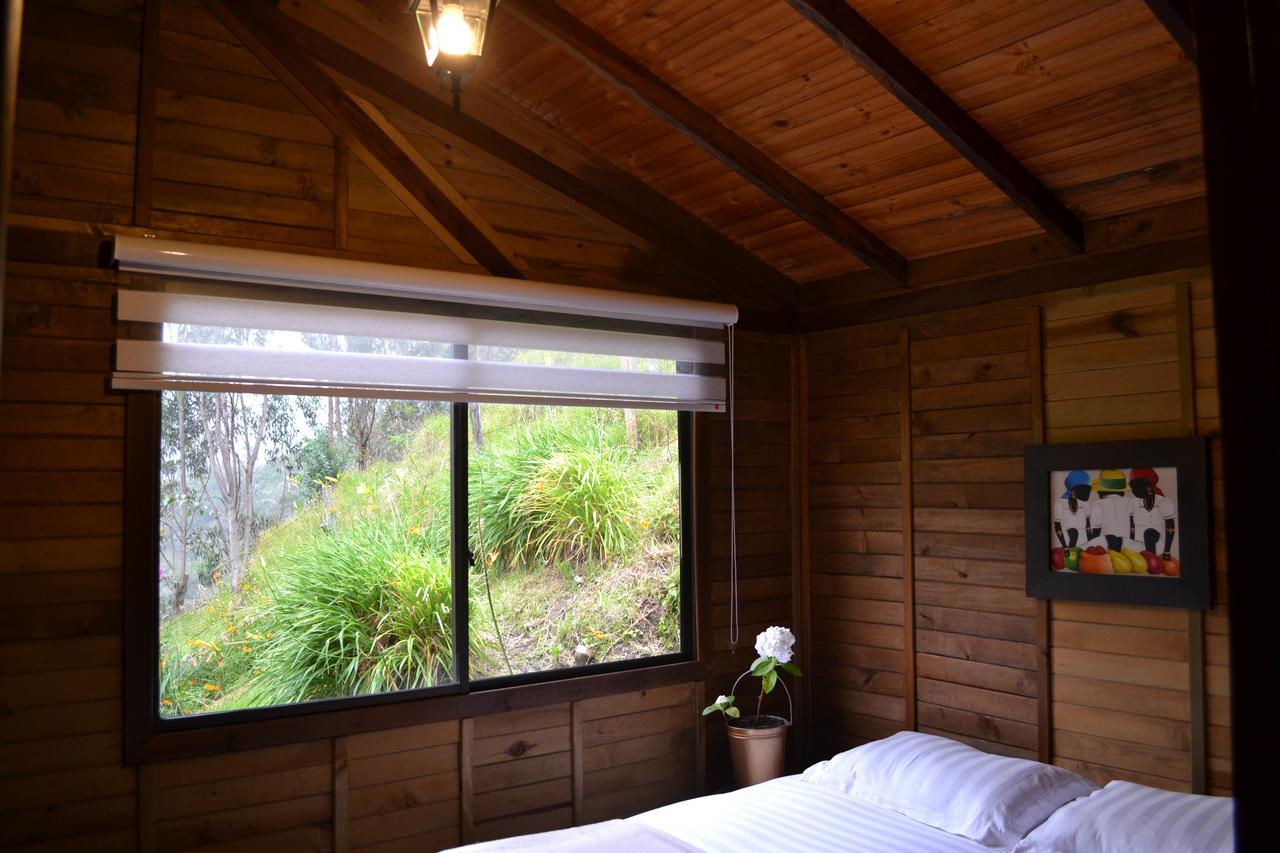 Cabanas Valle Del Cocora La Truchera Salento Dış mekan fotoğraf