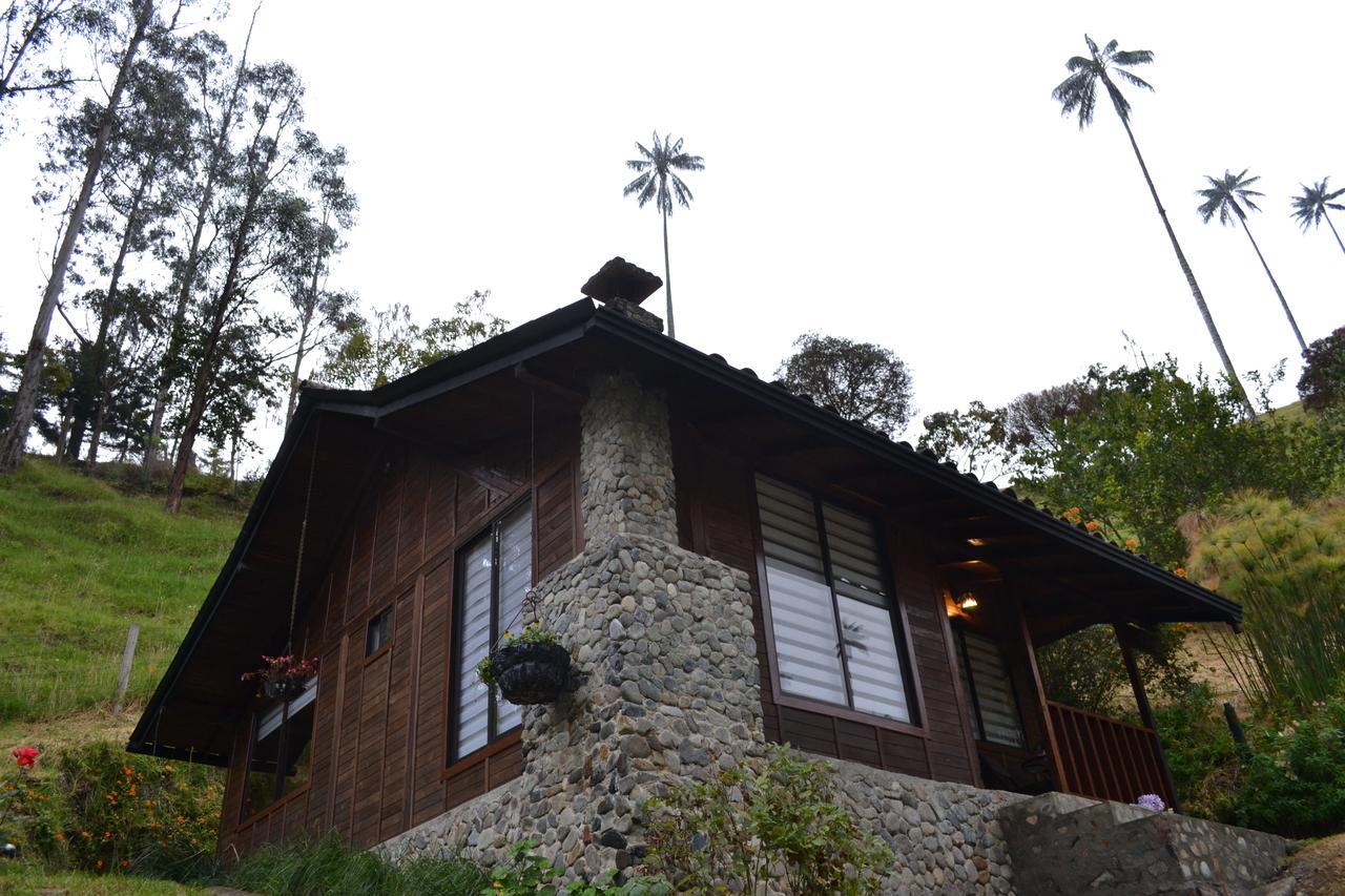 Cabanas Valle Del Cocora La Truchera Salento Dış mekan fotoğraf