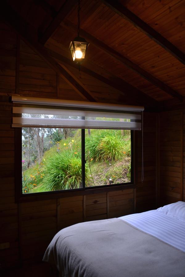 Cabanas Valle Del Cocora La Truchera Salento Dış mekan fotoğraf
