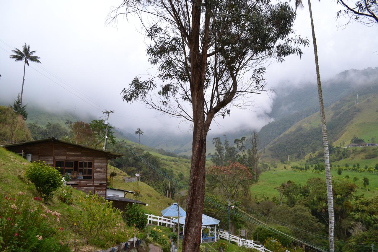 Cabanas Valle Del Cocora La Truchera Salento Dış mekan fotoğraf