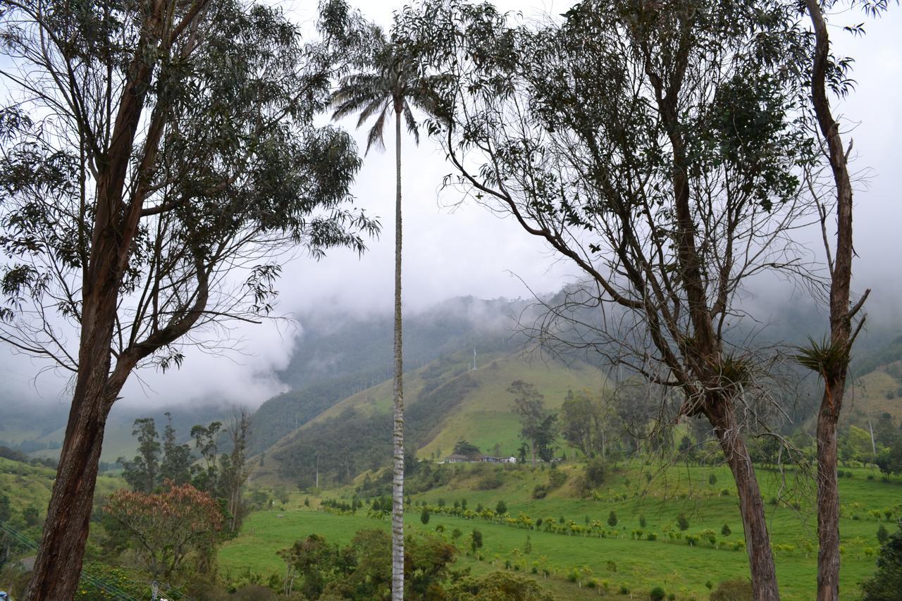 Cabanas Valle Del Cocora La Truchera Salento Dış mekan fotoğraf