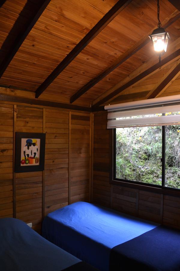 Cabanas Valle Del Cocora La Truchera Salento Dış mekan fotoğraf