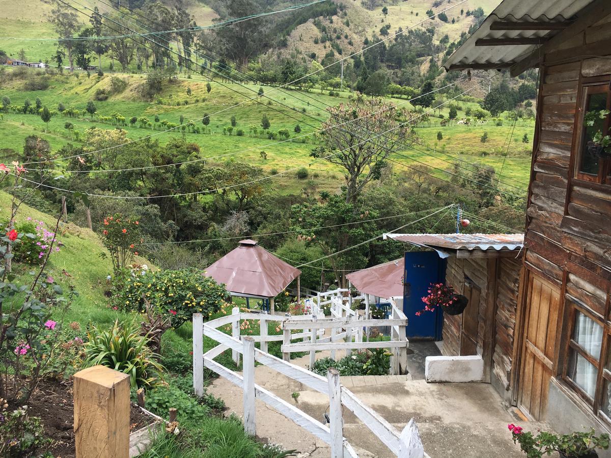 Cabanas Valle Del Cocora La Truchera Salento Dış mekan fotoğraf