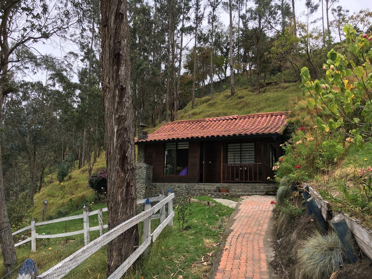Cabanas Valle Del Cocora La Truchera Salento Dış mekan fotoğraf
