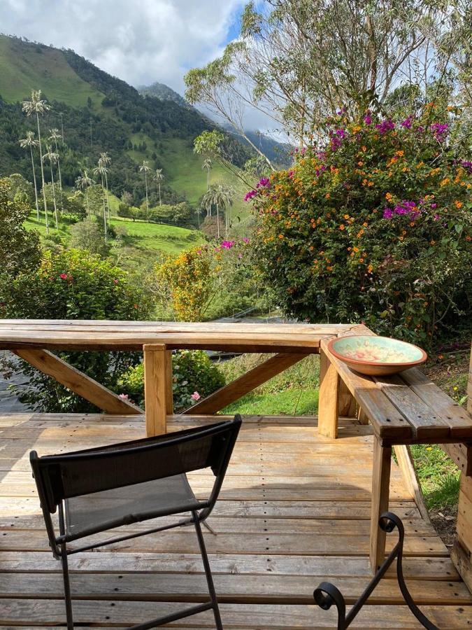 Cabanas Valle Del Cocora La Truchera Salento Dış mekan fotoğraf
