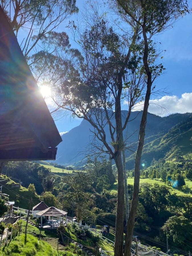Cabanas Valle Del Cocora La Truchera Salento Dış mekan fotoğraf