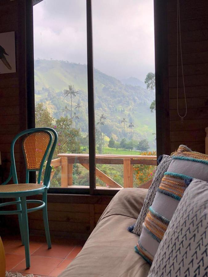 Cabanas Valle Del Cocora La Truchera Salento Dış mekan fotoğraf