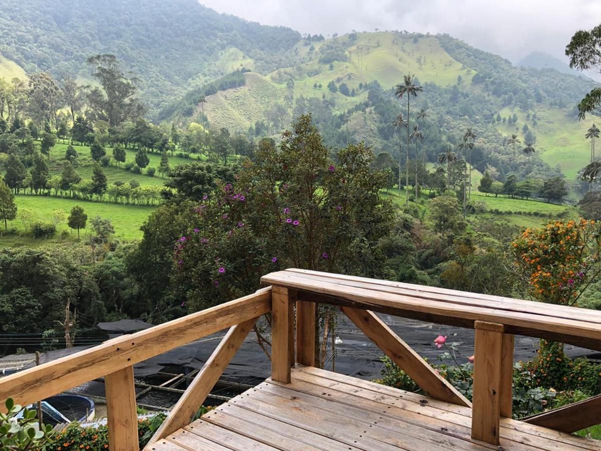 Cabanas Valle Del Cocora La Truchera Salento Dış mekan fotoğraf