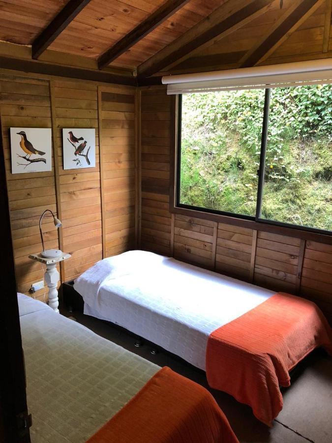 Cabanas Valle Del Cocora La Truchera Salento Dış mekan fotoğraf