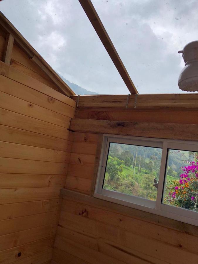 Cabanas Valle Del Cocora La Truchera Salento Dış mekan fotoğraf