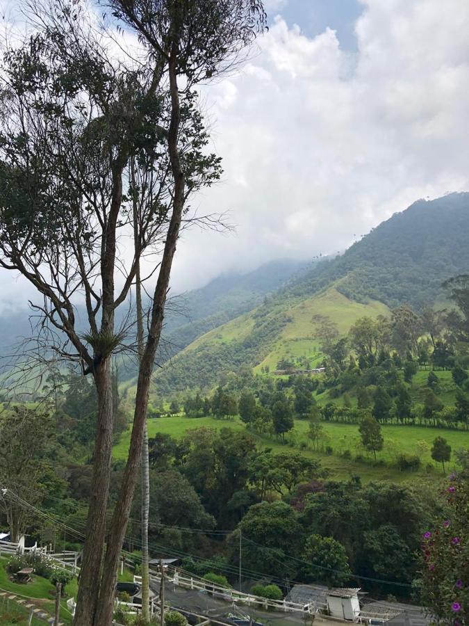 Cabanas Valle Del Cocora La Truchera Salento Dış mekan fotoğraf