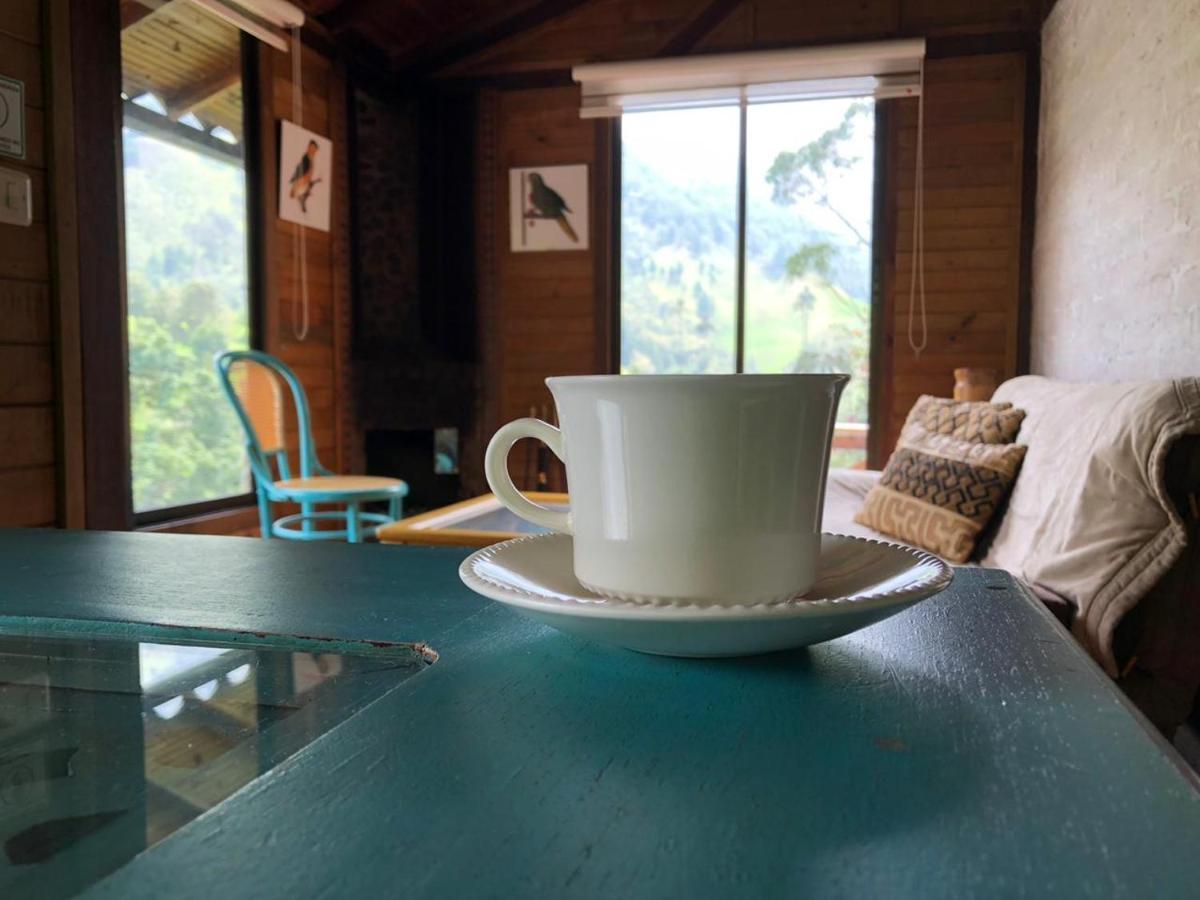 Cabanas Valle Del Cocora La Truchera Salento Dış mekan fotoğraf