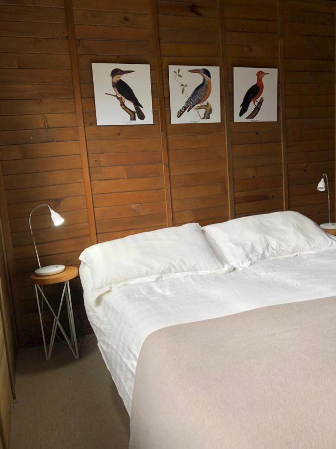 Cabanas Valle Del Cocora La Truchera Salento Dış mekan fotoğraf