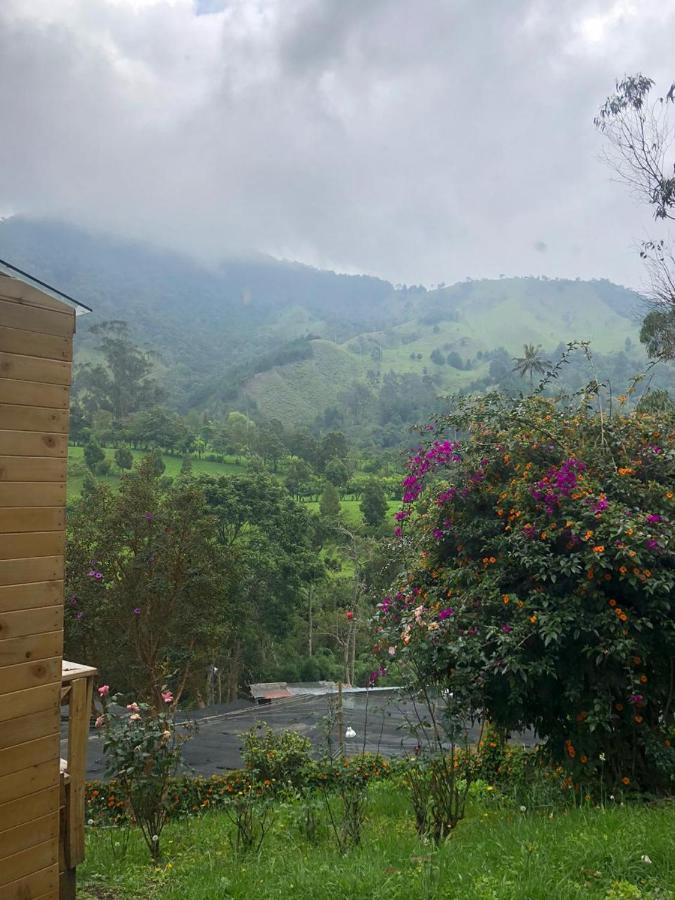Cabanas Valle Del Cocora La Truchera Salento Dış mekan fotoğraf