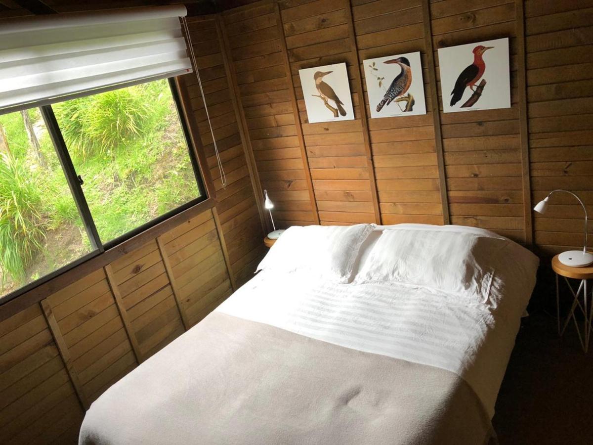 Cabanas Valle Del Cocora La Truchera Salento Dış mekan fotoğraf